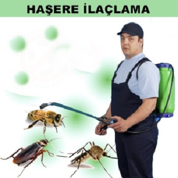Vakfıkebir Böcek İlaçlama